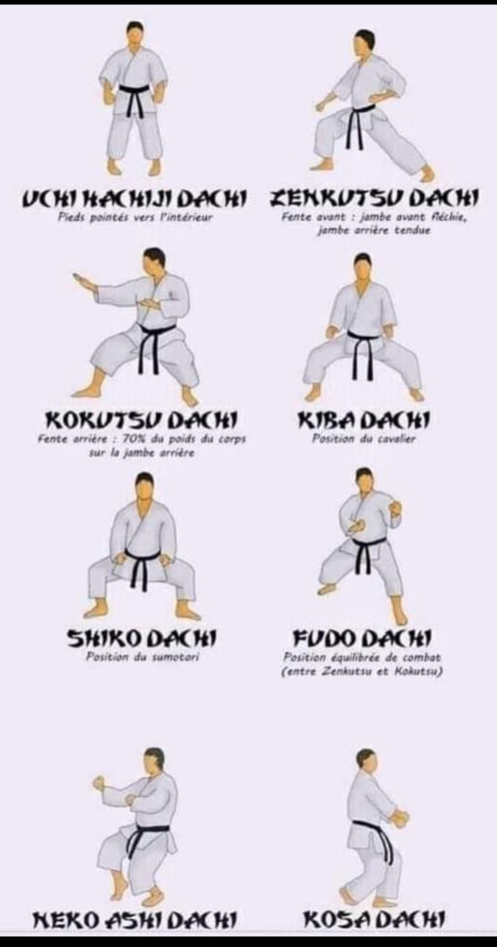 Les Posistions du Shotokan